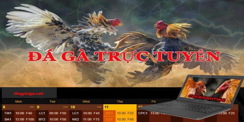 Trang Chủ 29 ga6789 cai dat app choi game